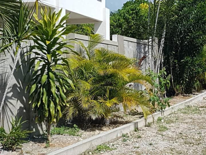 Ancella'S Garden Apartment-Beach-5Min Drive, 1 Hr Montego Bay, 25 Mins Ocho Rios, Continental Breakfast Runaway Bay Exterior foto